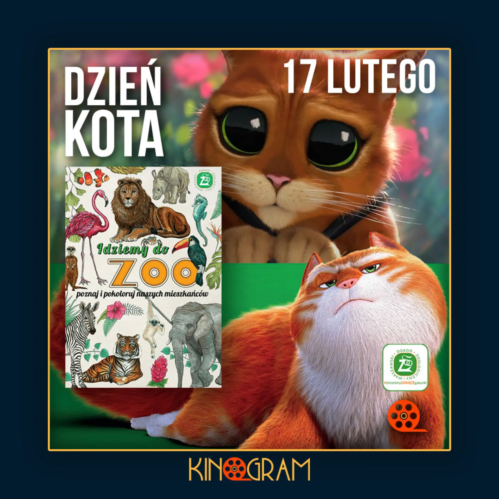 Dzień Kota w kinie KinoGram